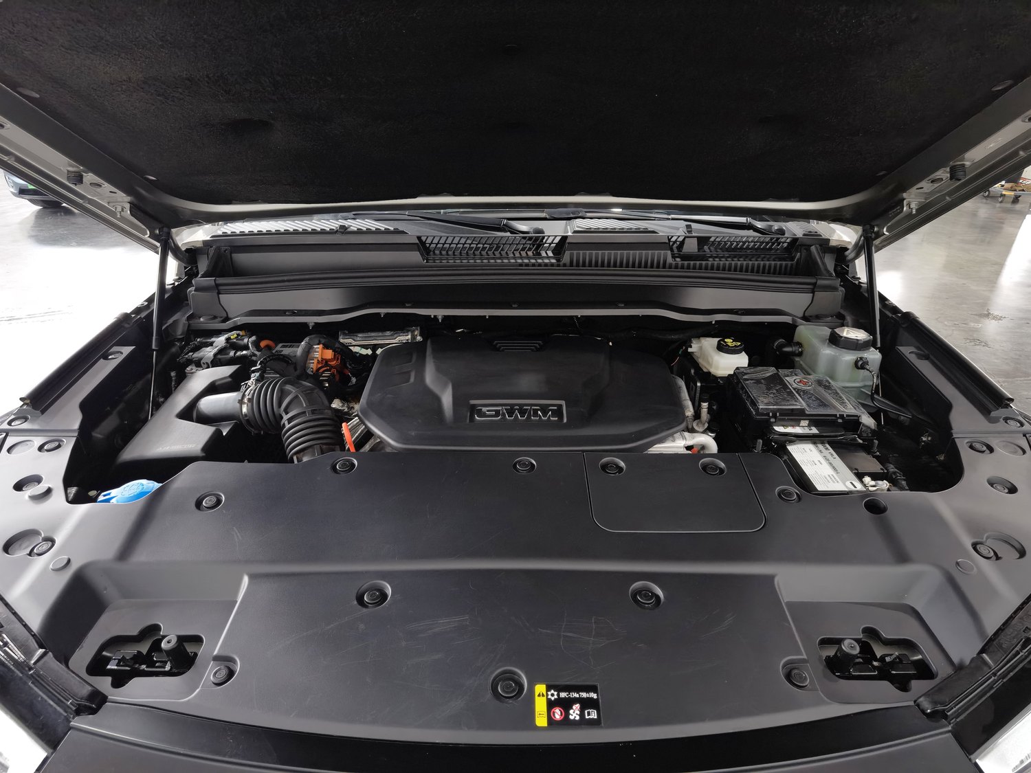 Used Tank 400 NEV 2024 2.0 AT