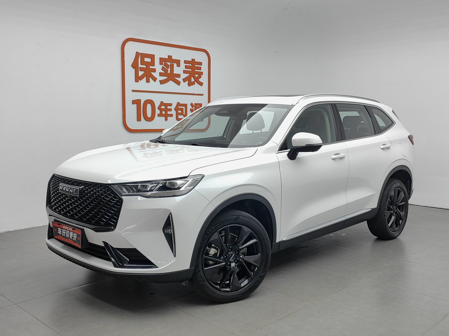 Used Haval H6 2021 2.0 AT