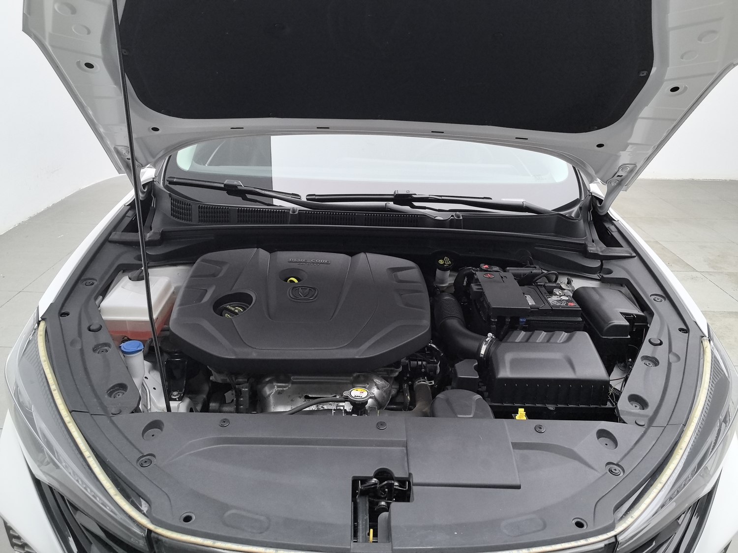 Used Changan Eado 2022 1.6 MT
