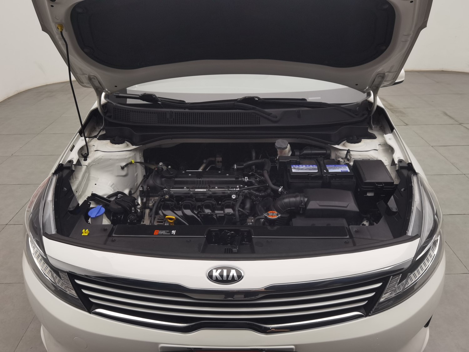 Used Kia Forte 2019 1.6 AT