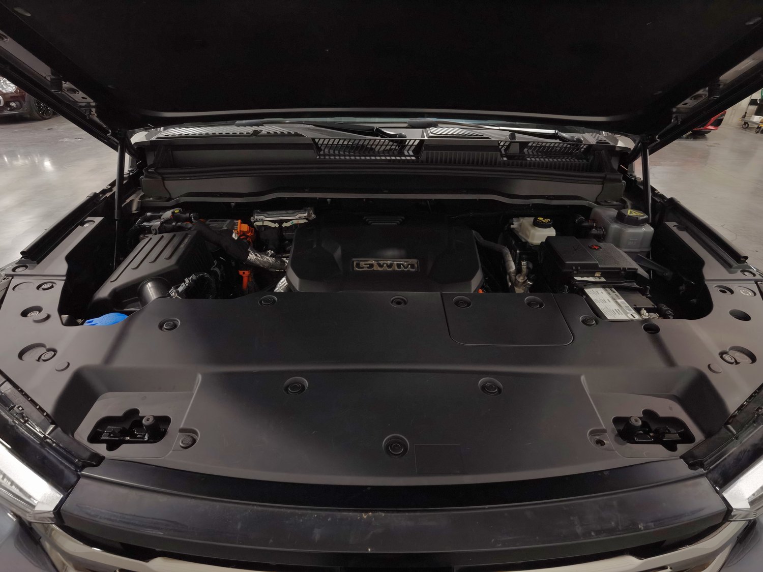 Used Tank 400 NEV 2023 2.0 AT
