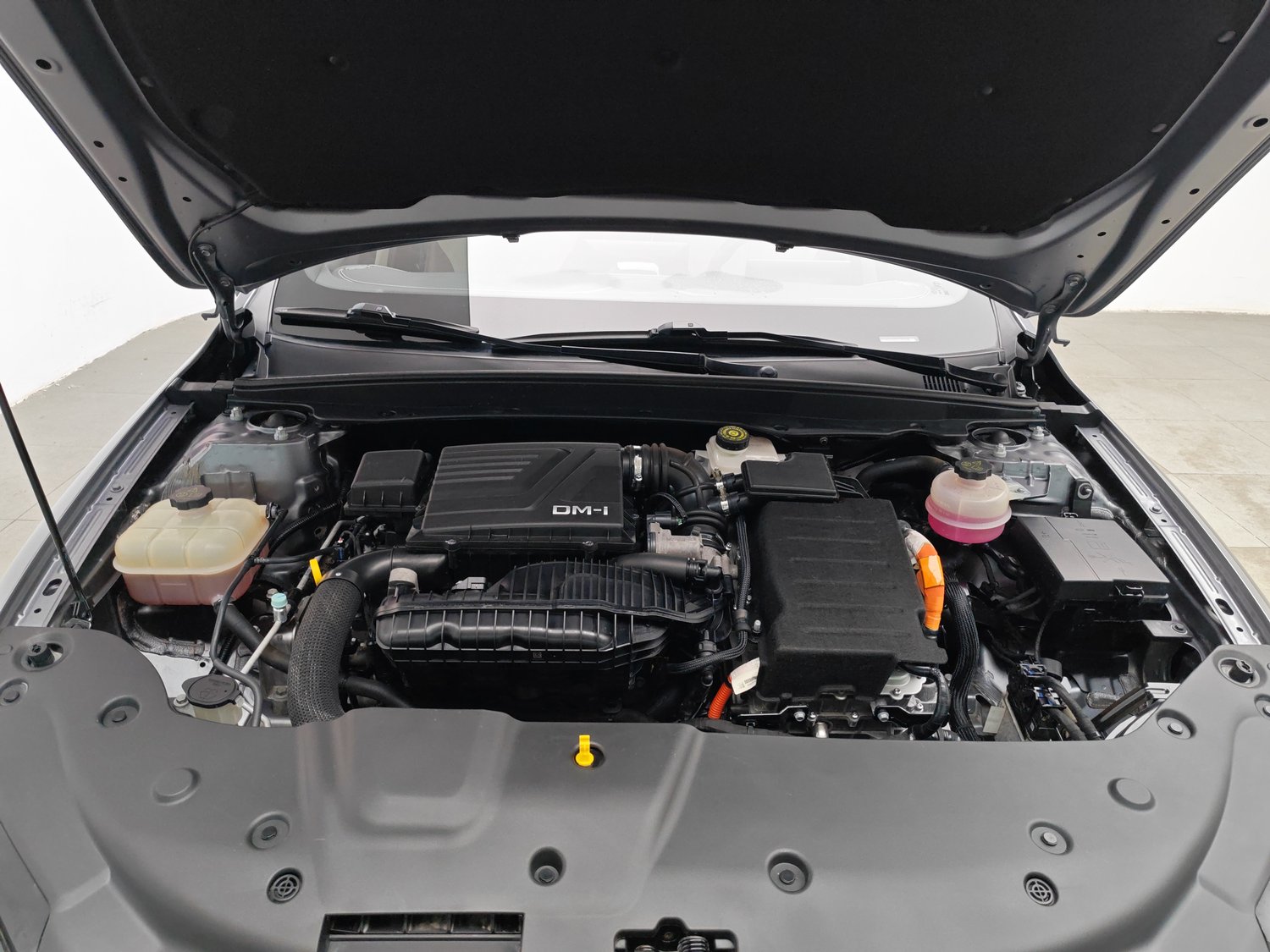 Used BYD Qin PLUS 2023 1.5 AT