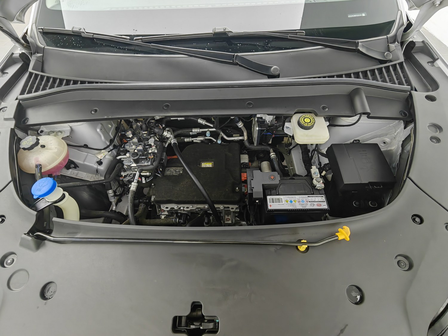 Used BYD Yuan PLUS 2023