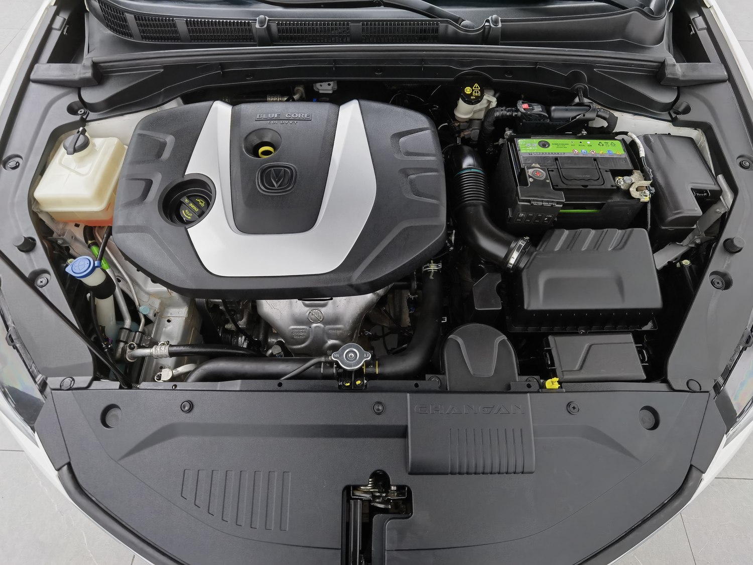 Used Changan Eado 2019 1.6 MT