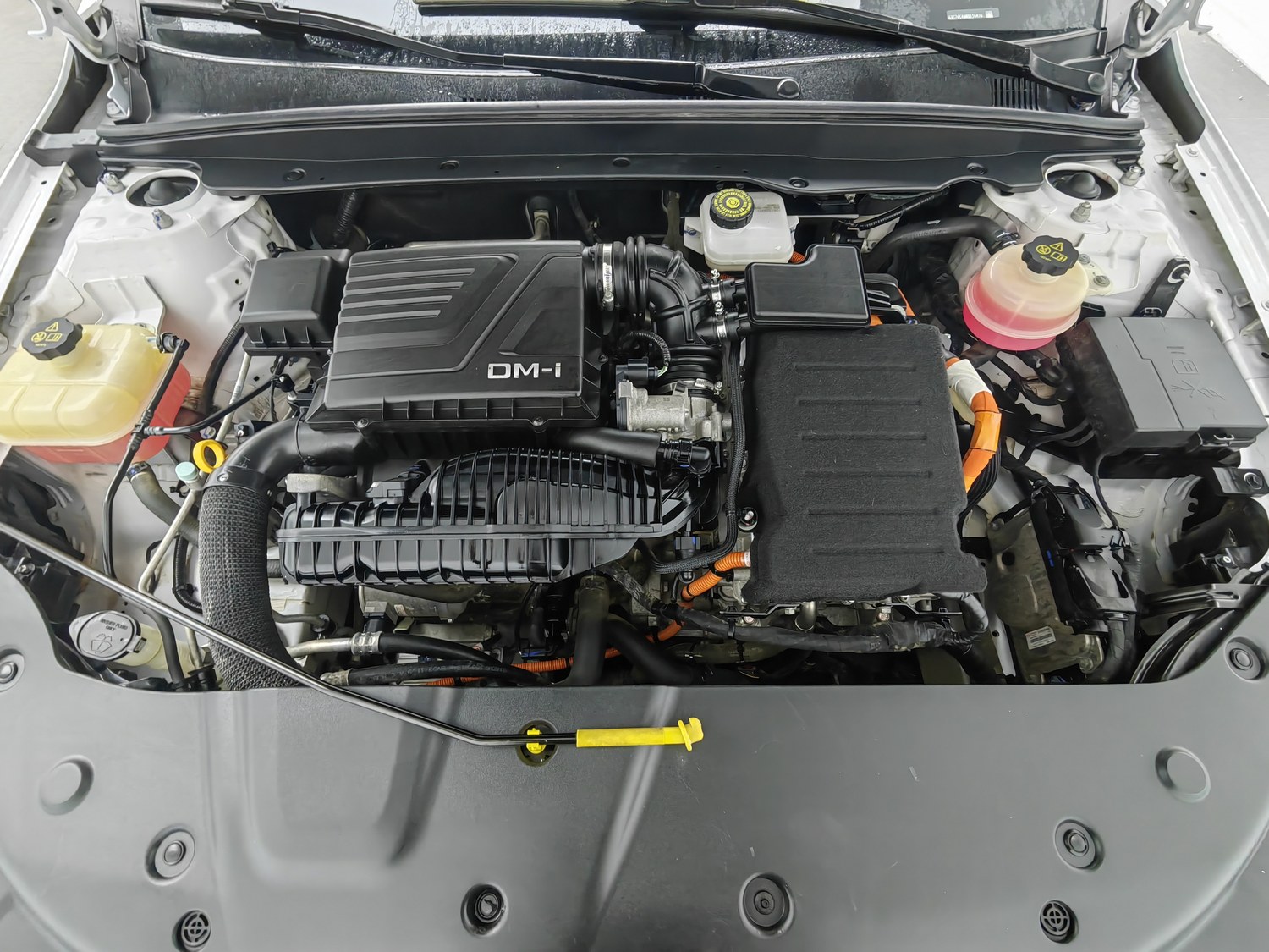 Used BYD Qin PLUS 2021 1.5 AT