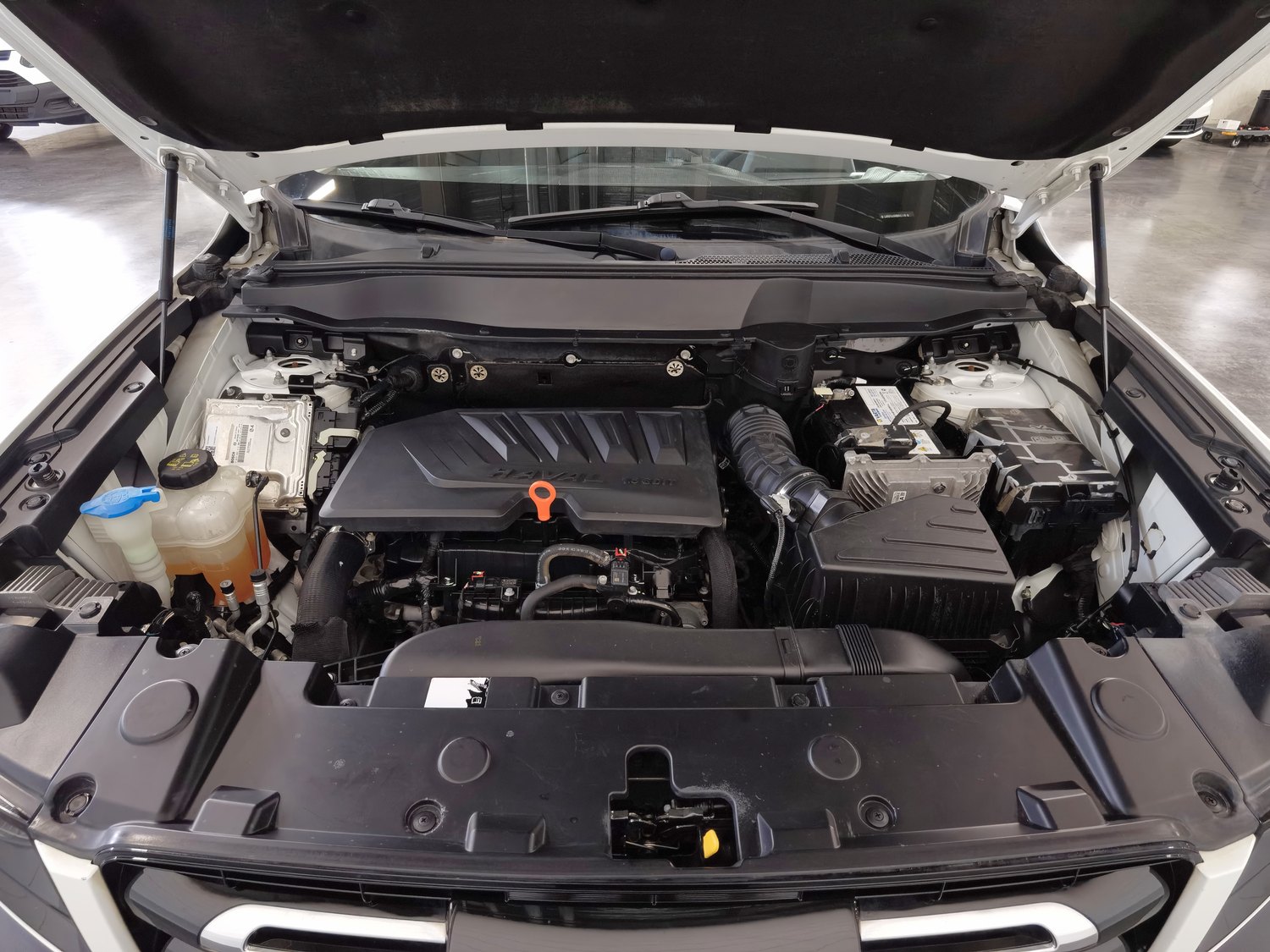 Used Haval Big Dog 2021 1.5 AT