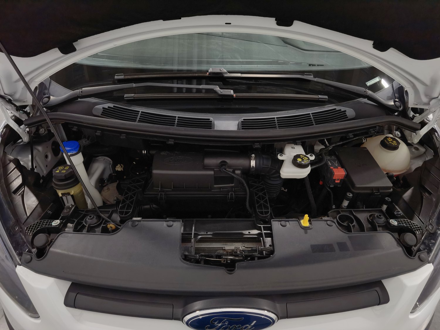 Used Ford Transit 2019 2.0 MT