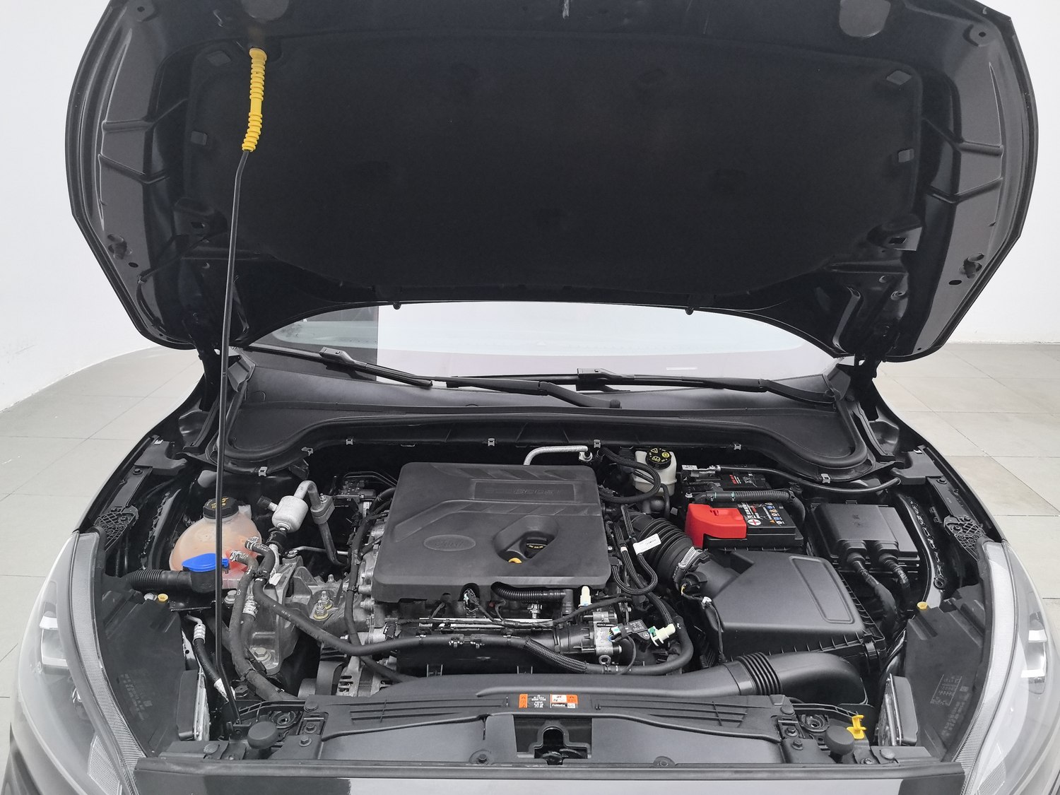 Used Ford Focus 2020 1.5 AT