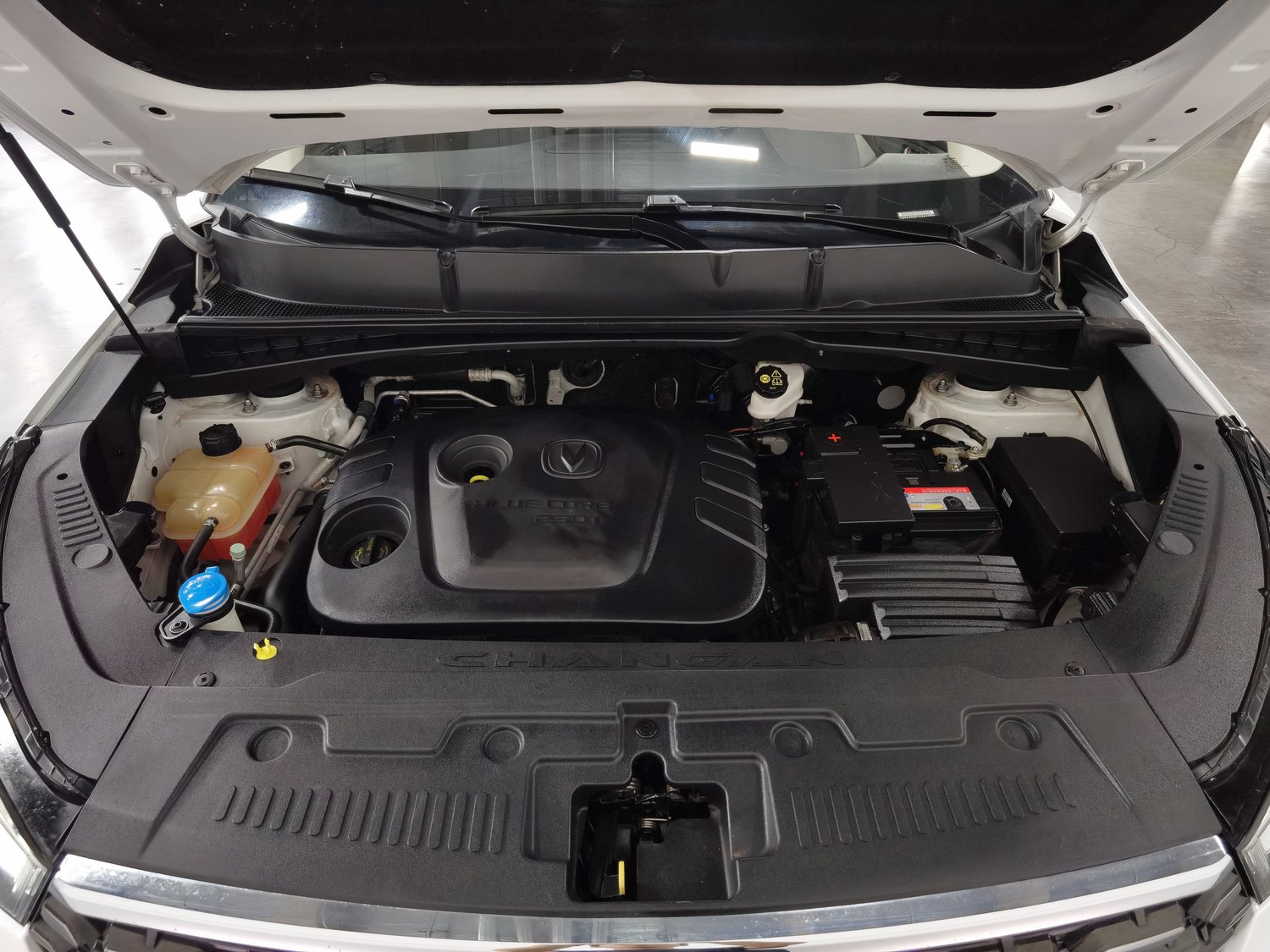 Used Changan CS55 2019 1.5 AT