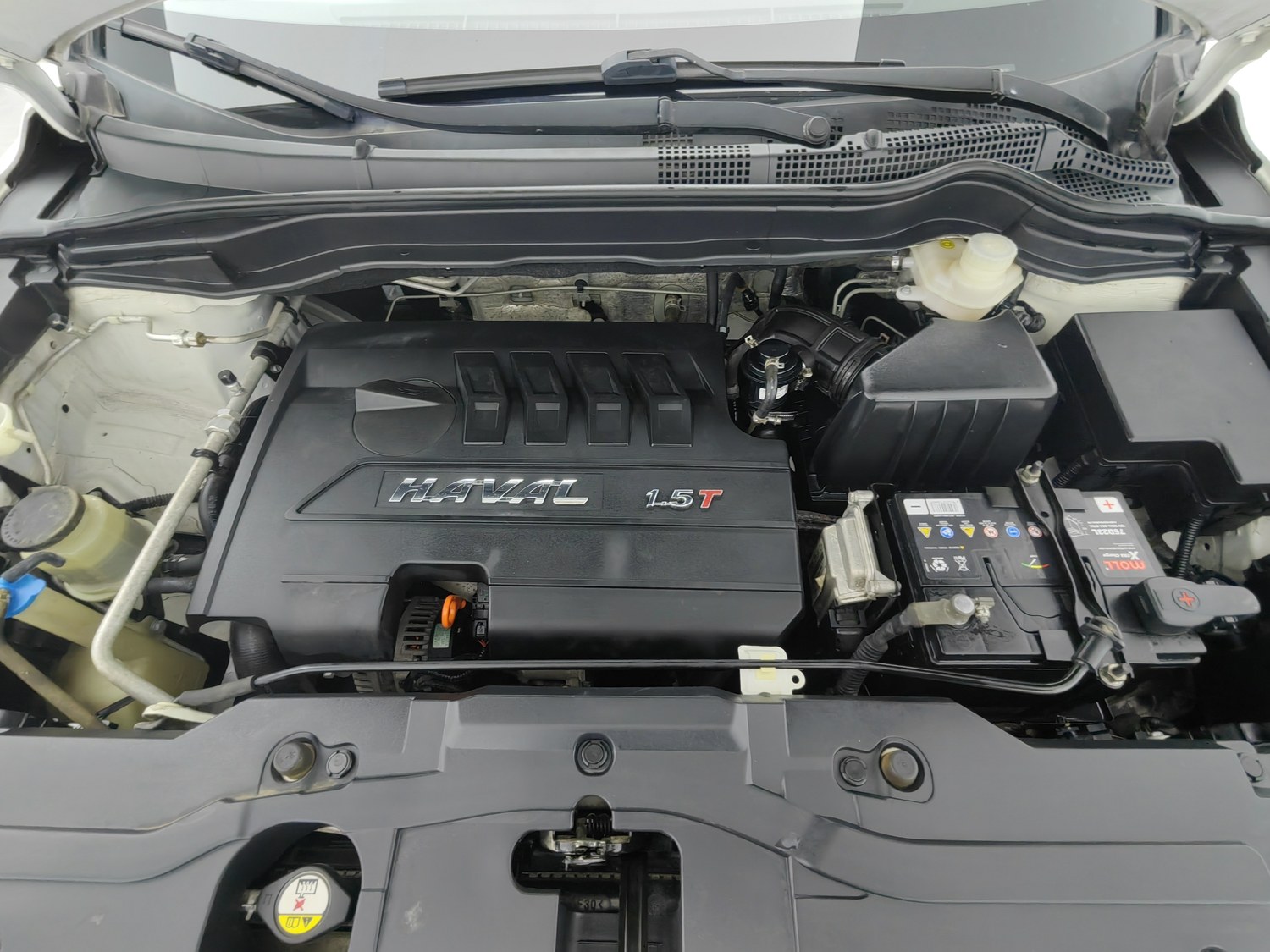 Used Haval H6 2016 1.5 MT