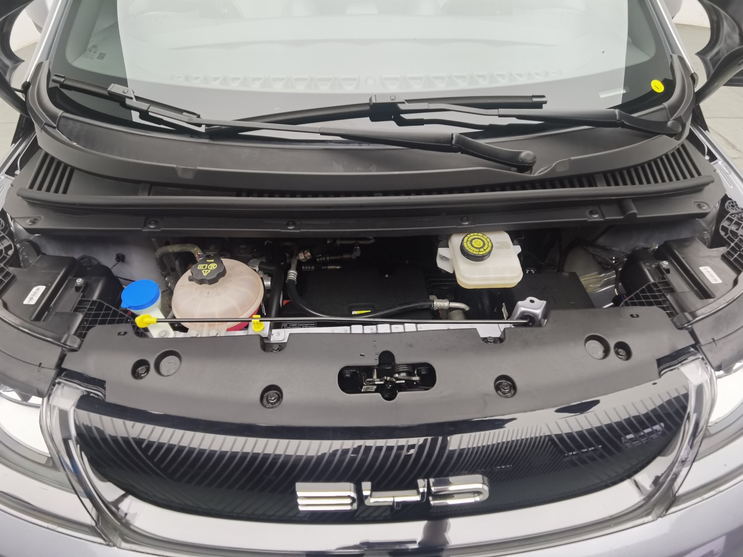 Used BYD Dolphin 2021