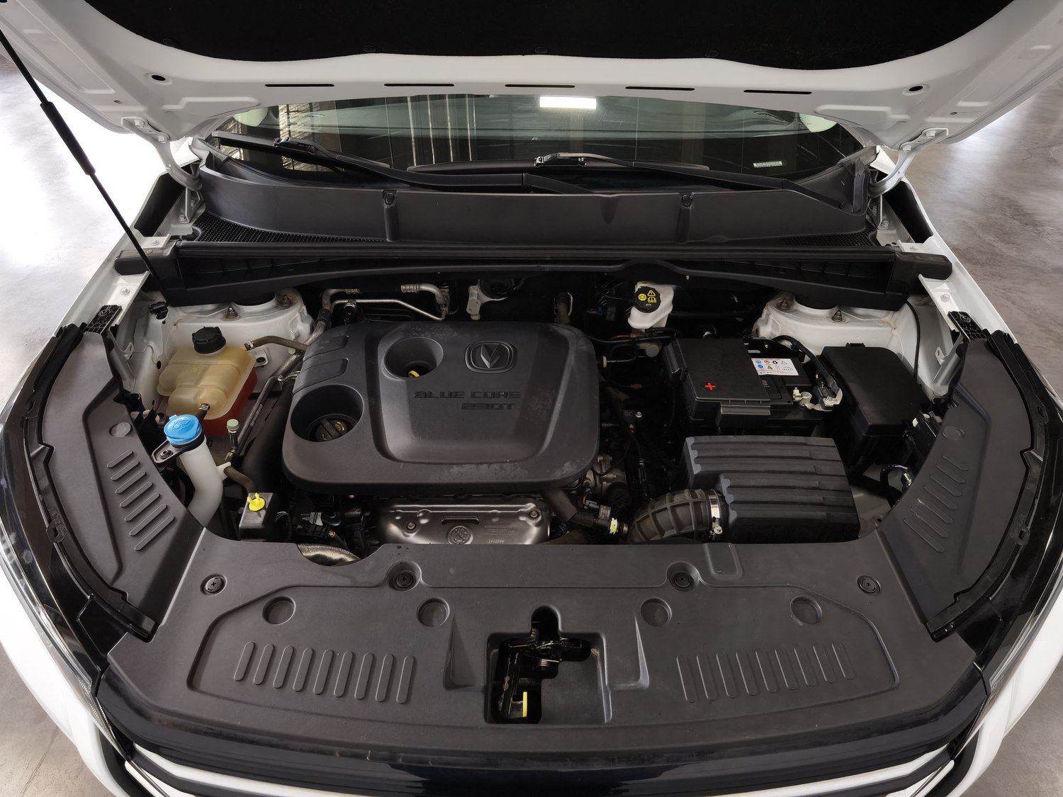 Used Changan CS55PLUS 2020 1.5 MT