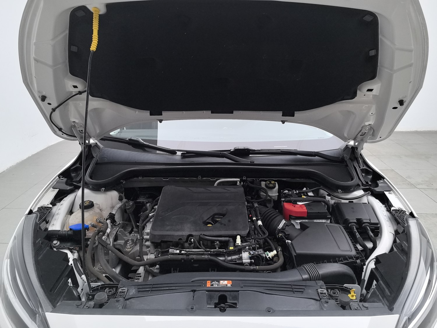 Used Ford Focus 2021 1.5 AT
