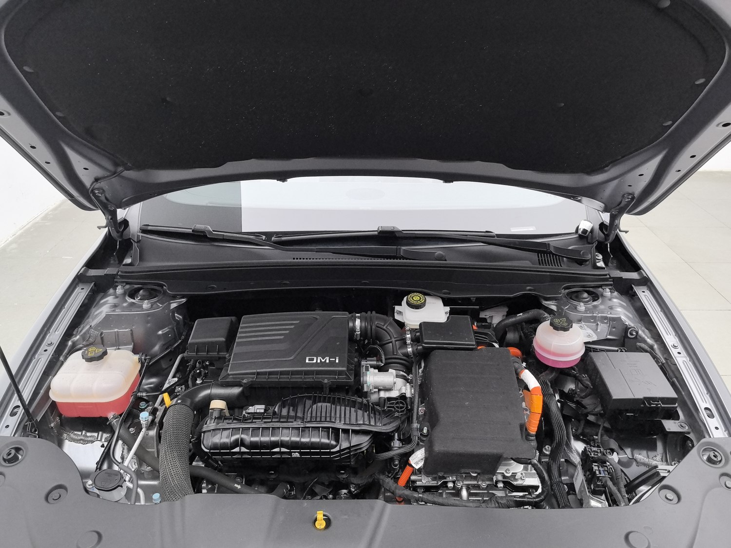 Used BYD Qin PLUS 2024 1.5 AT