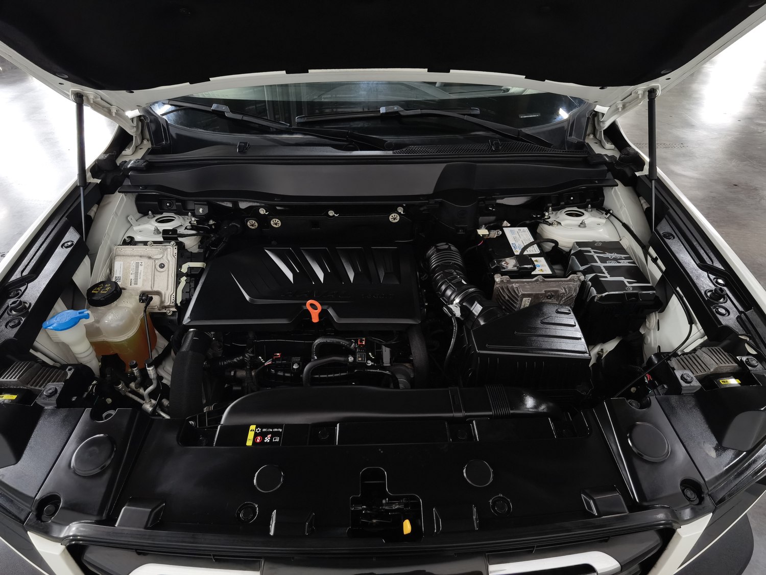 Used Haval Big Dog 2021 1.5 AT
