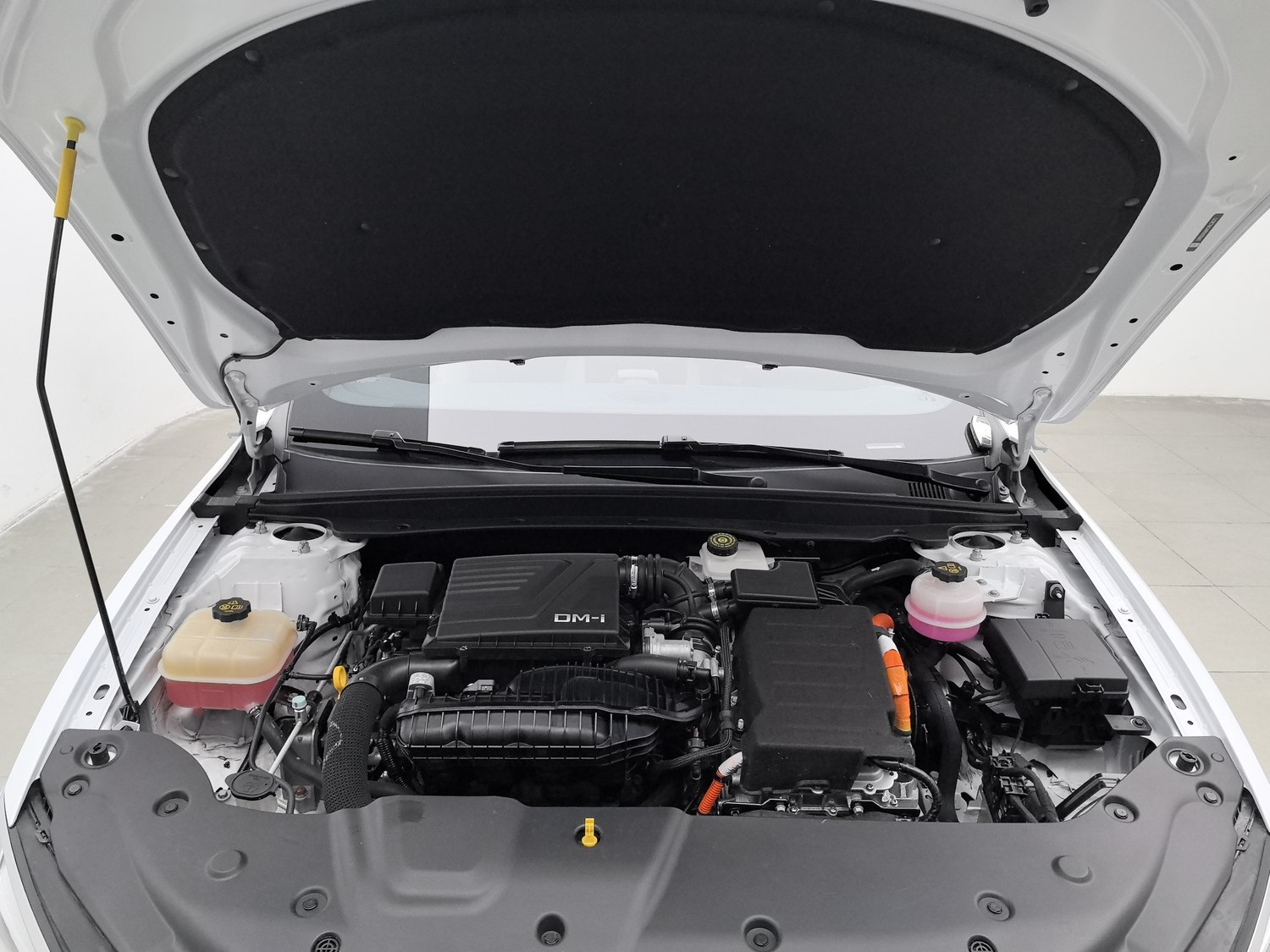 Used BYD Qin PLUS 2023 1.5 AT