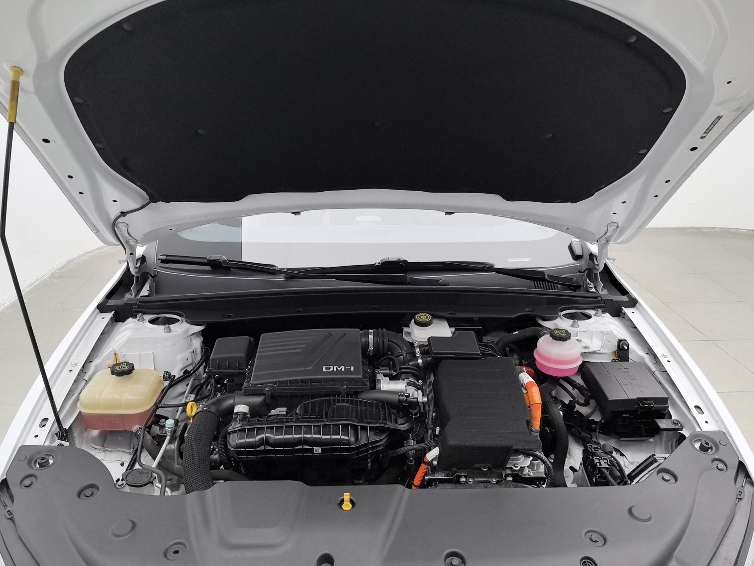 Used BYD Qin PLUS 2023 1.5 AT