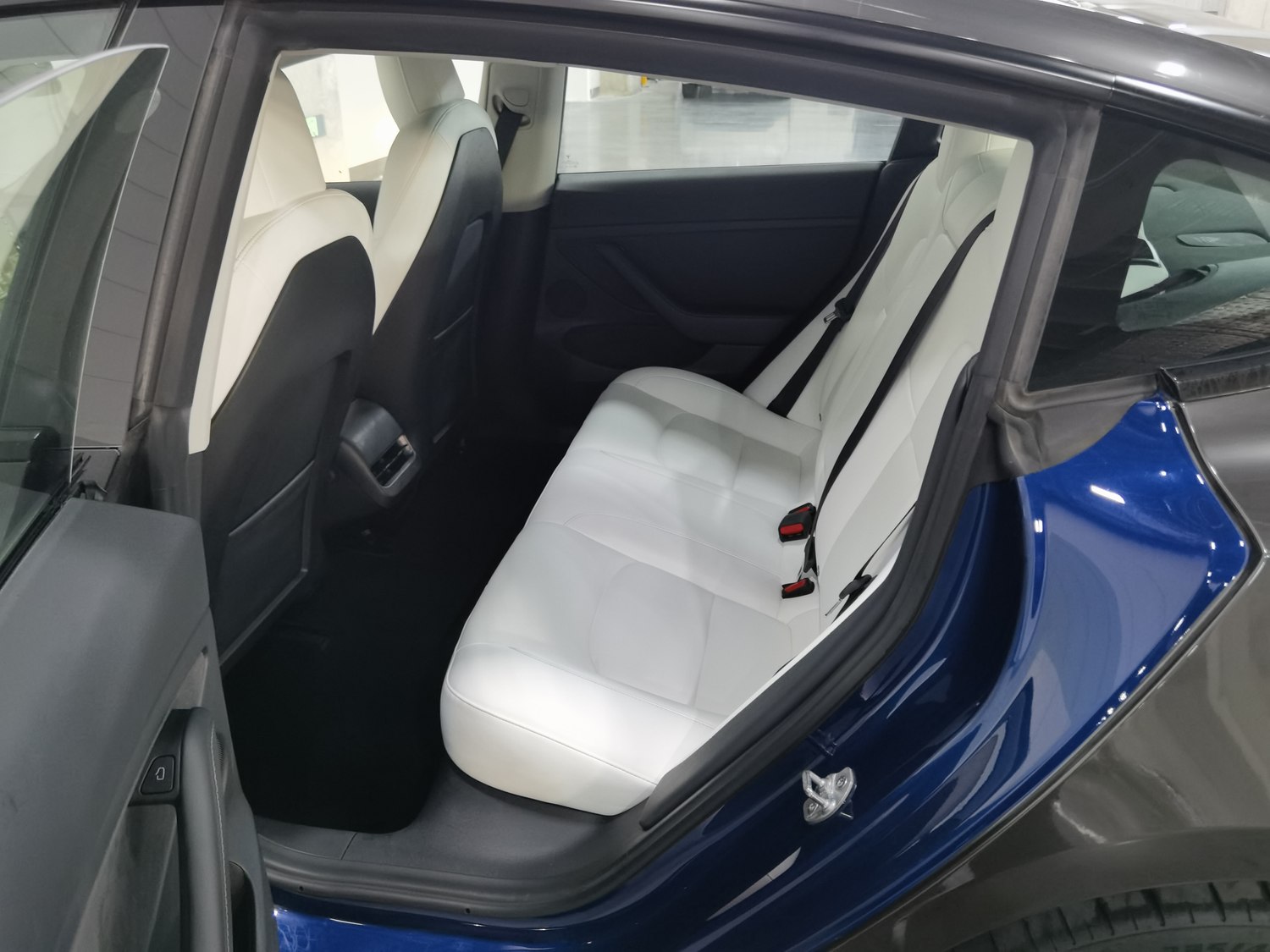 Used Tesla Model 3 2021