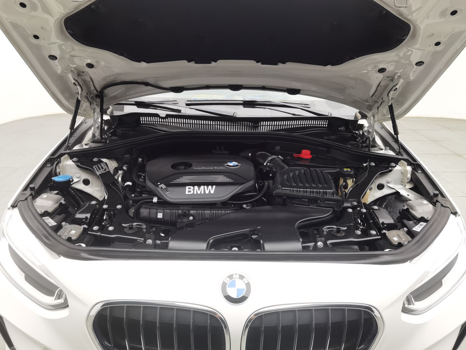 Used BMW THE1 2019 2.0 AT