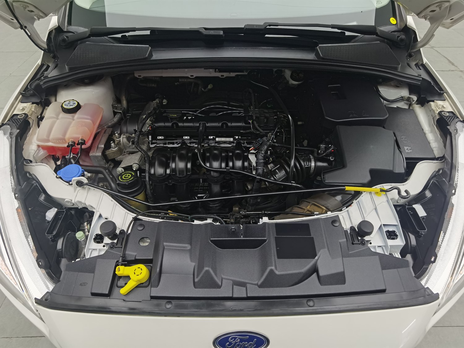 Used Ford Focus 2015 1.6 MT