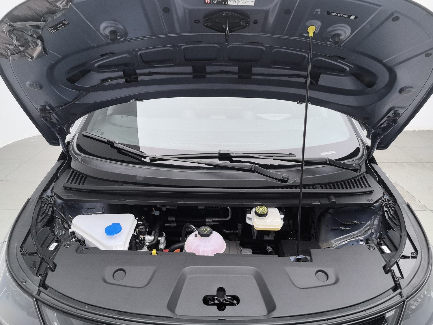 Used BYD Dolphin 2025