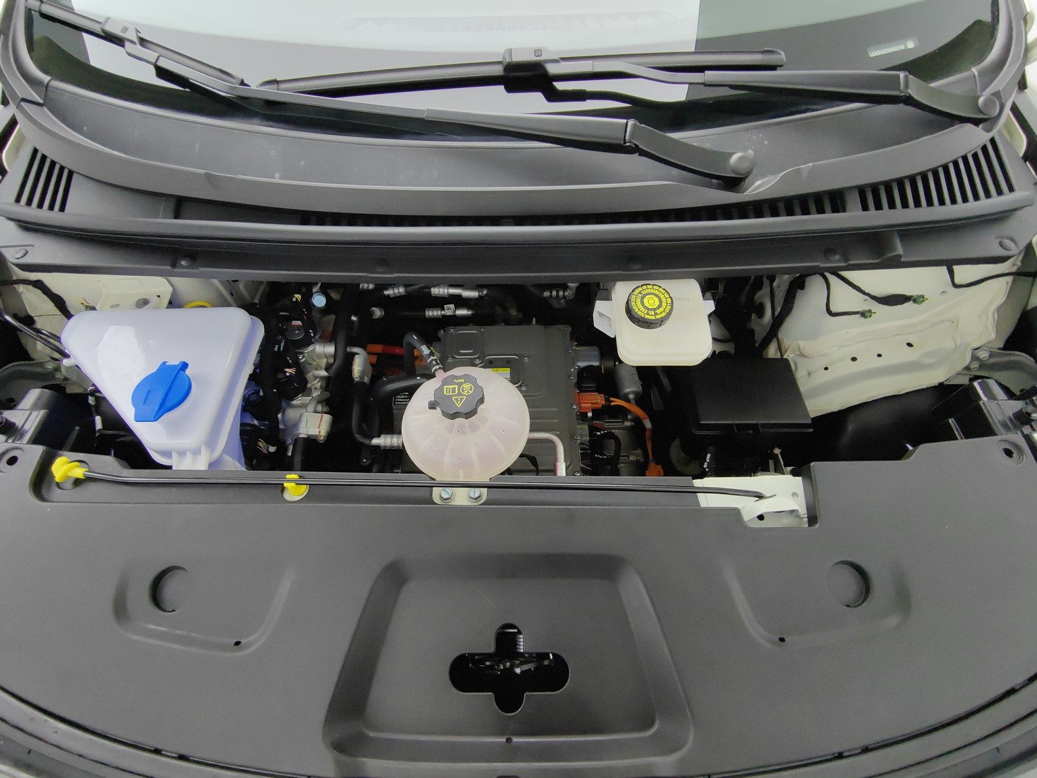 Used BYD Dolphin 2025