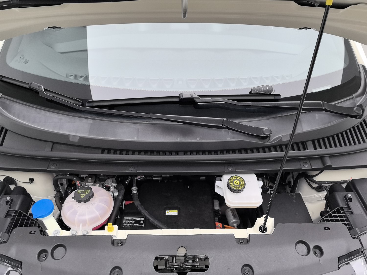 Used BYD Dolphin 2023