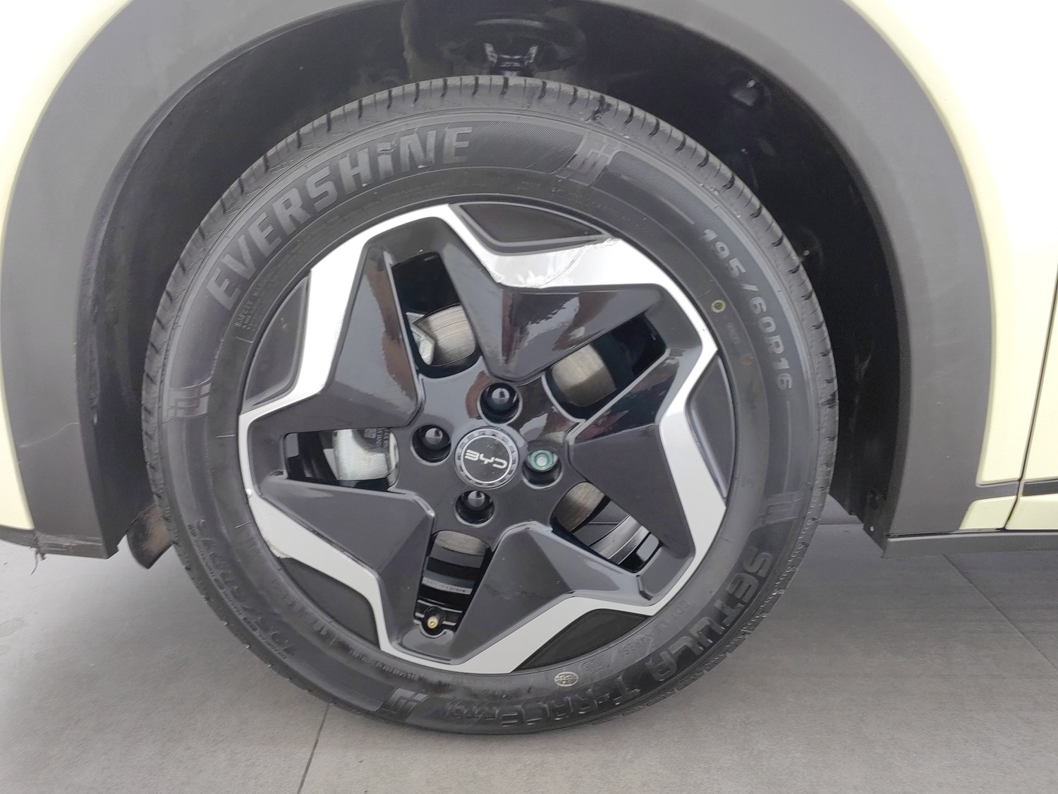 Used BYD Dolphin 2025