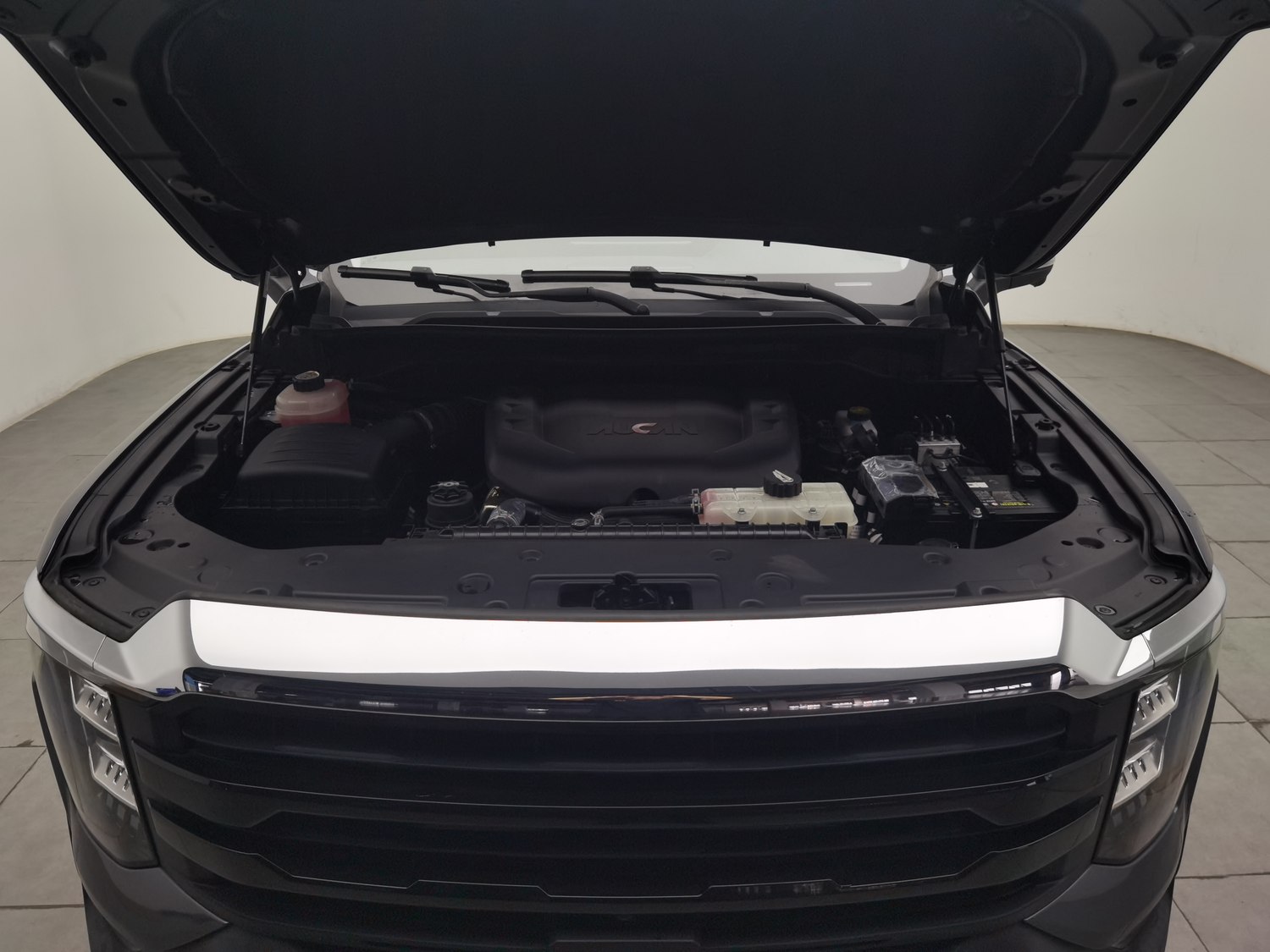 Used Foton Mars 2024 2.0 AT