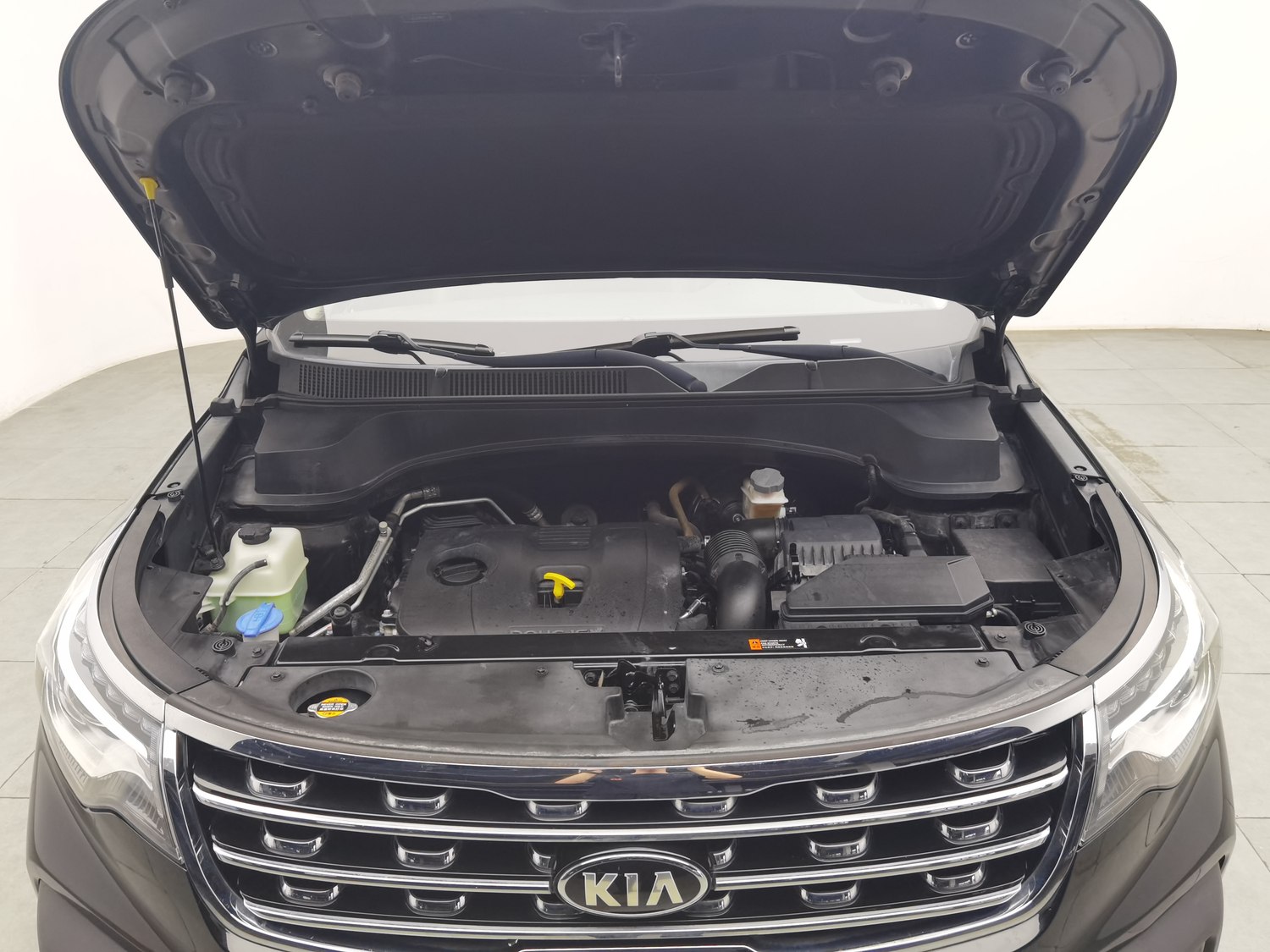 Used Kia Sportage 2019 2.0 AT