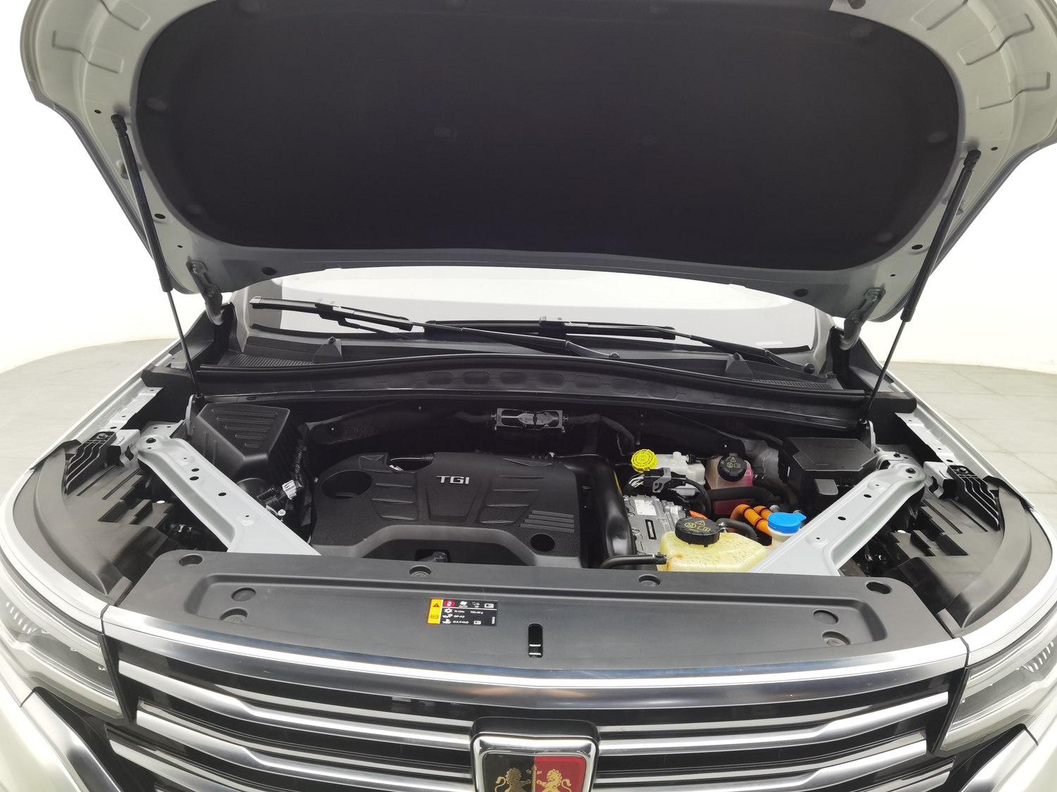 Used Roewe RX5 eMAX 2020 1.5 AT