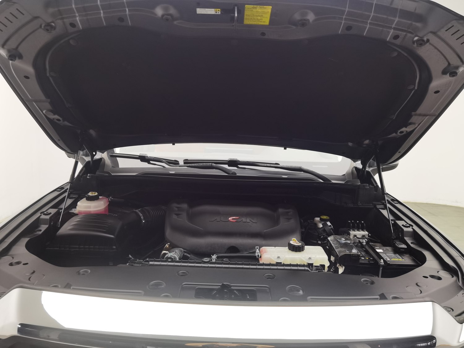Used Foton Mars 2024 2.0 AT