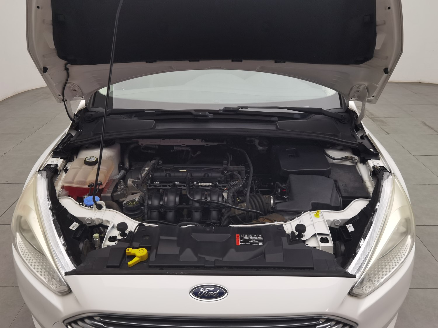 Used Ford Focus 2015 1.6 MT