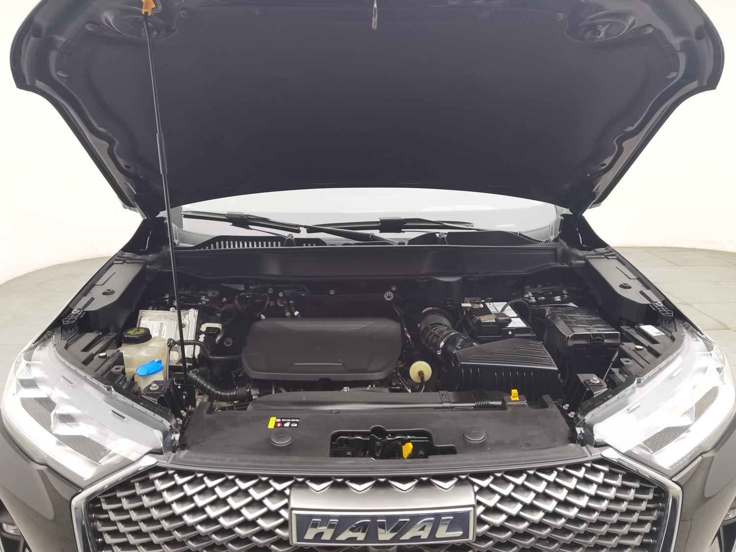 Used Haval H6 2022 1.5 AT