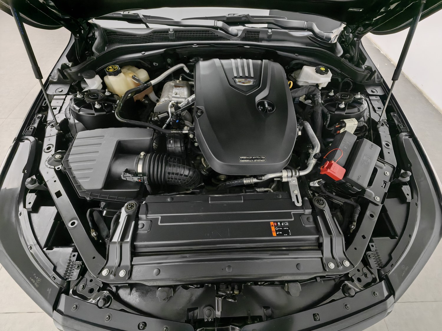 Used Cadillac CT4 2023 1.5 AT