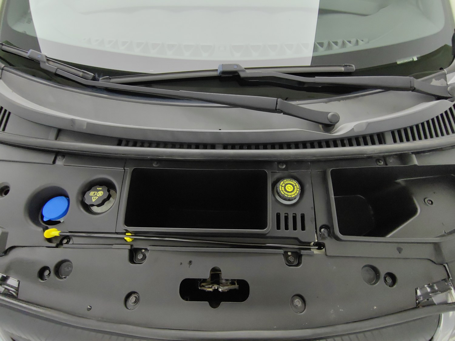 Used BYD Dolphin 2021