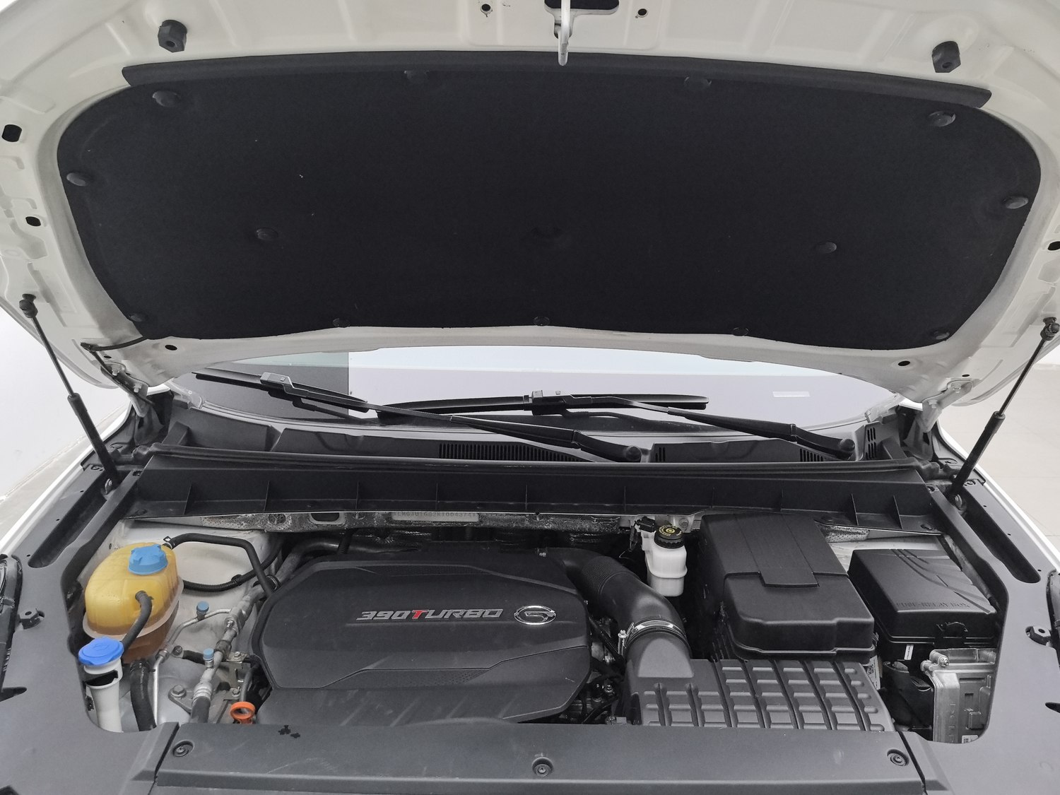 Used GAC Trumpchi GS8 2019 2.0 AT