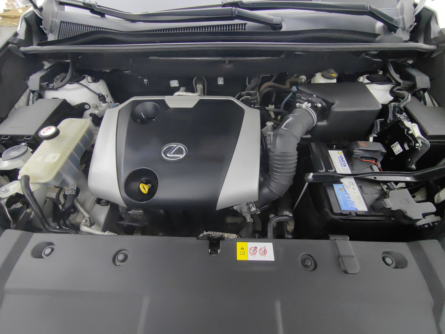 Used Lexus NX 2016 2.0 AT