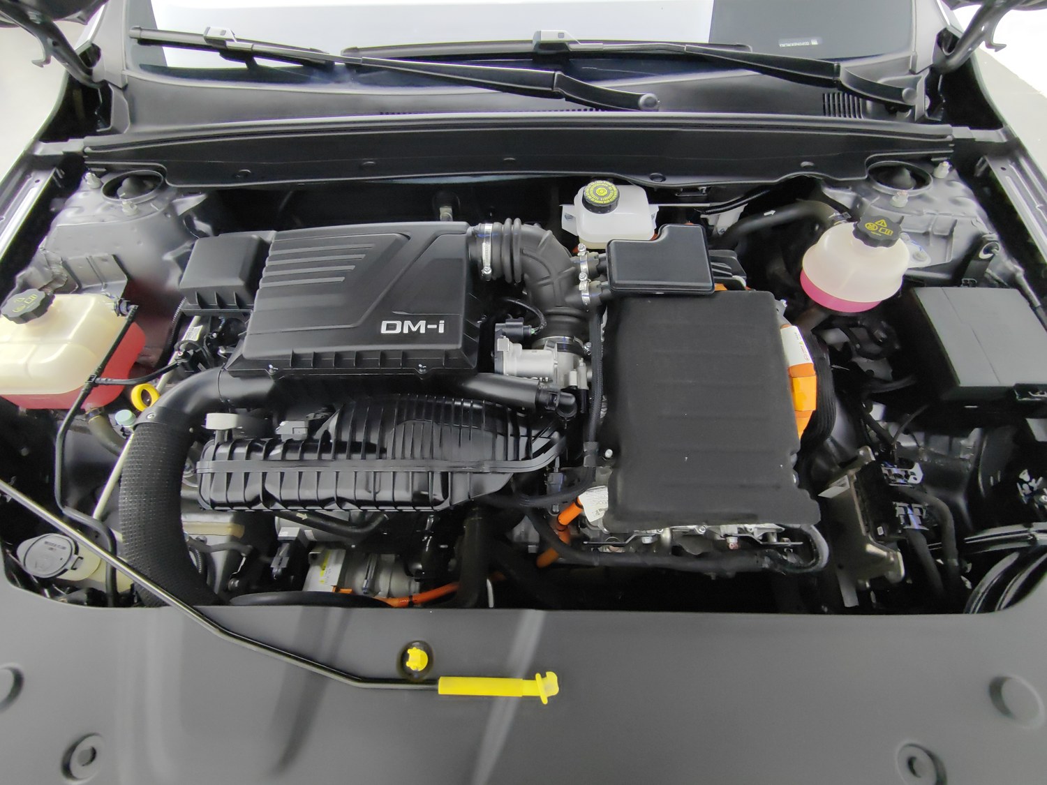 Used BYD Qin PLUS 2023 1.5 AT