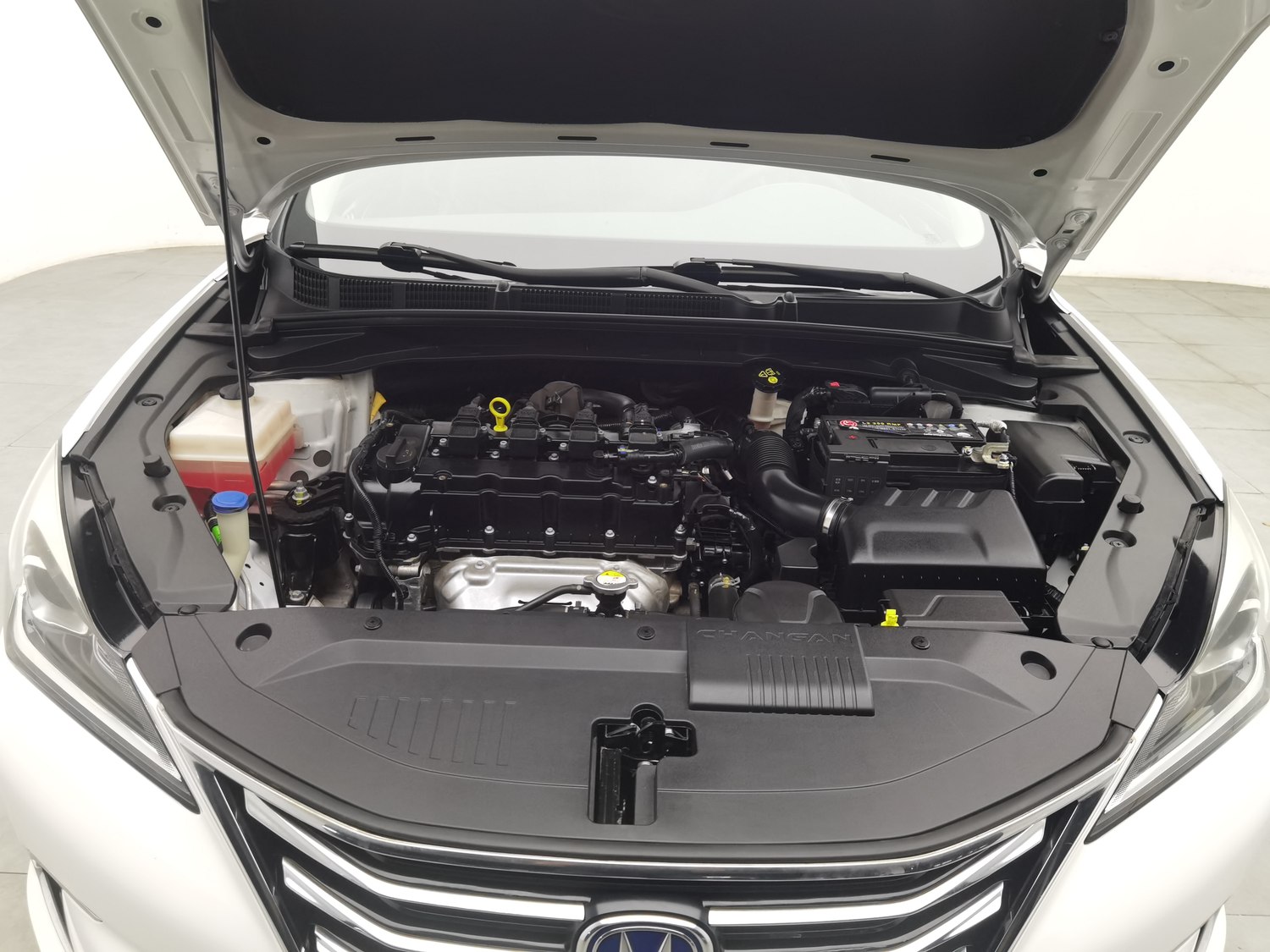 Used CHONGQINGCHANGANAUTOMOBILECo.,Ltd Eado 2019 1.6 MT