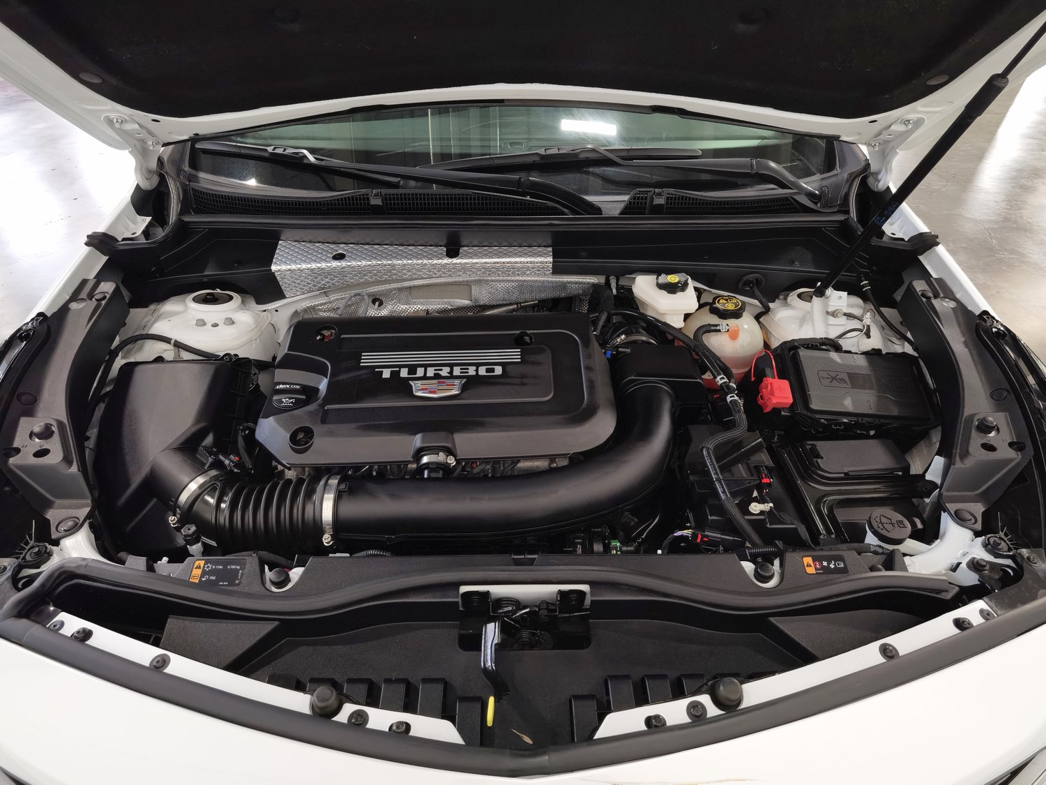 Used Cadillac XT4 2022 2.0 AT