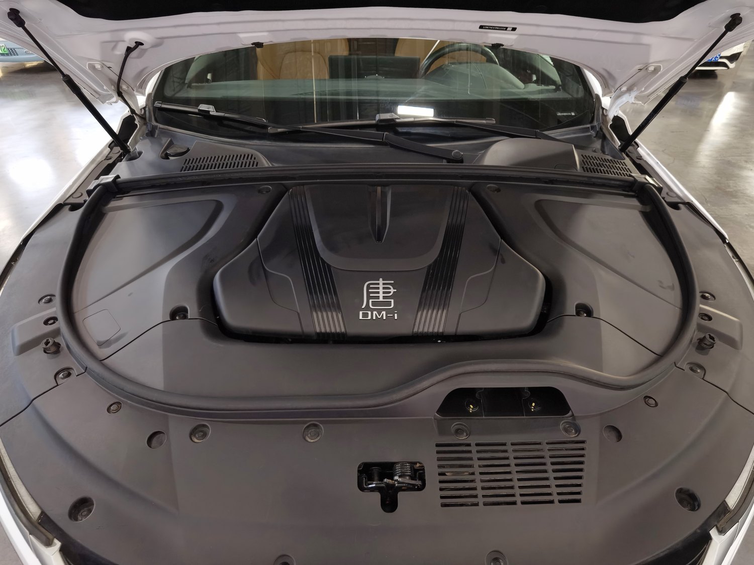 Used BYD Tang EV 2023 1.5 AT