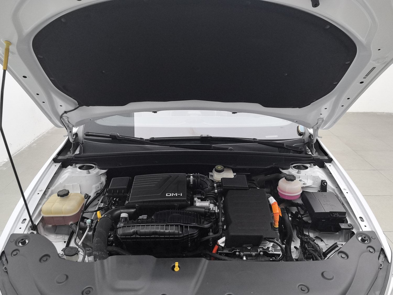 Used BYD Qin PLUS 2023 1.5 AT
