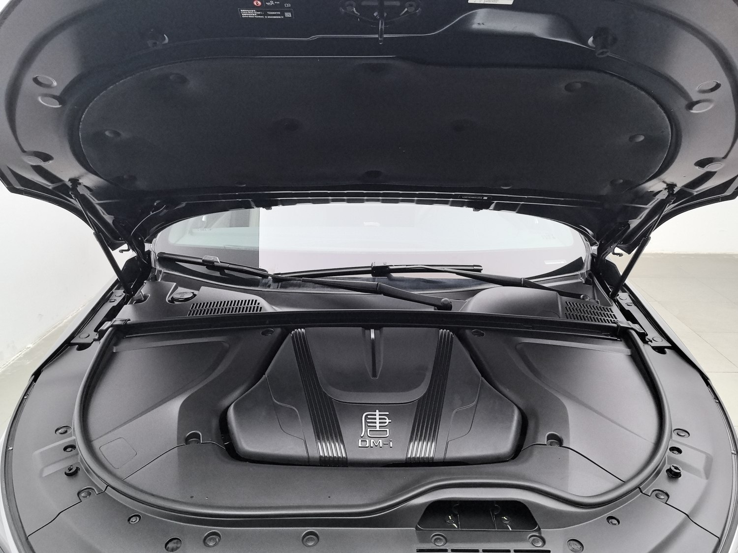 Used BYD Tang EV 2024 1.5 AT