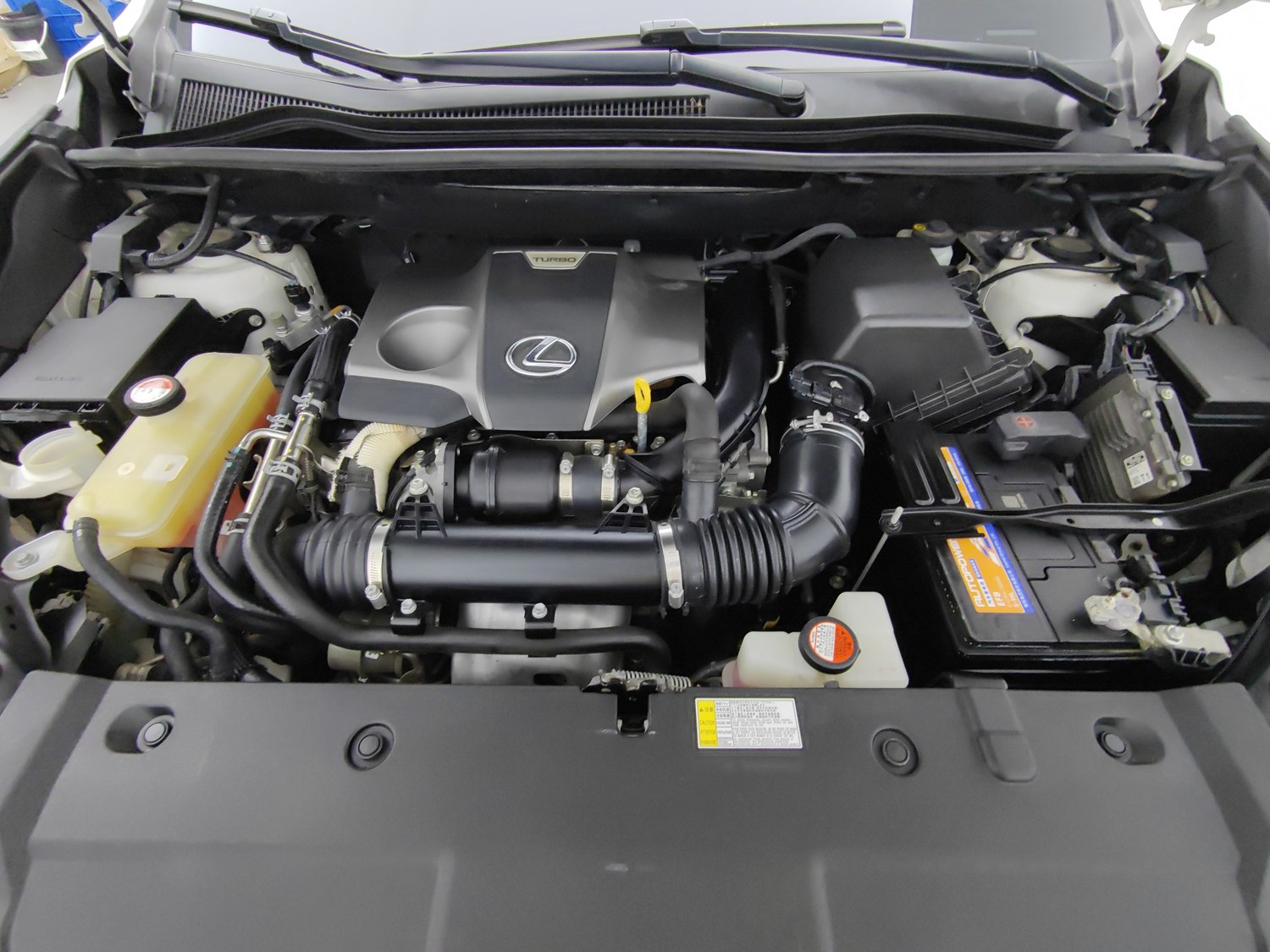 Used LEXUS NX 2015 2.0 AT