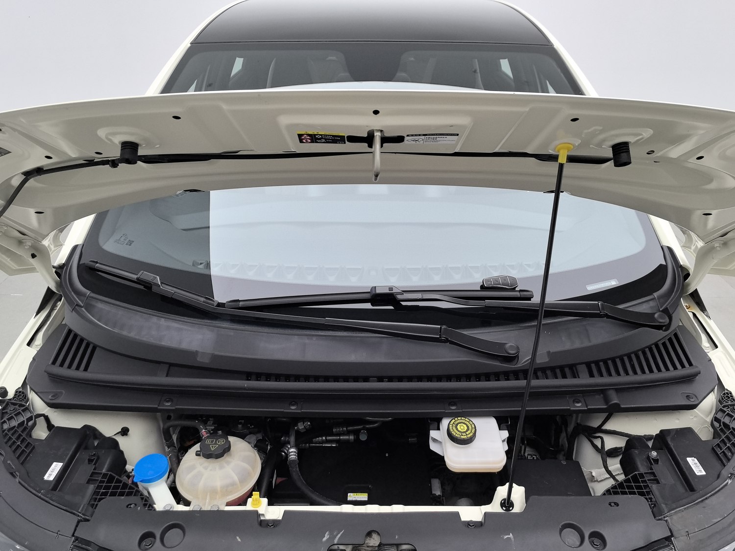 Used BYD Dolphin 2023
