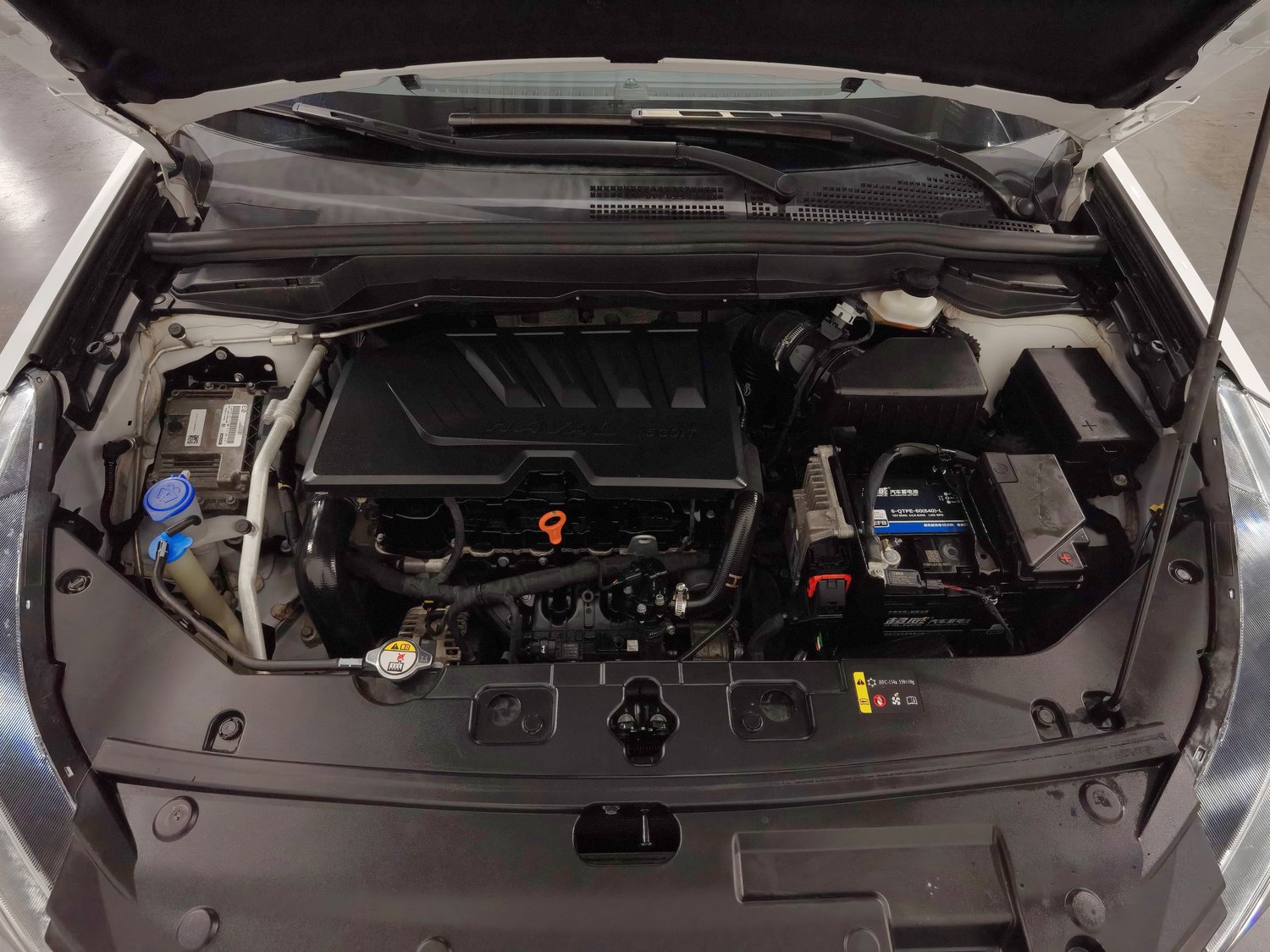 Used Haval H6 Coupe 2019 1.5 AT