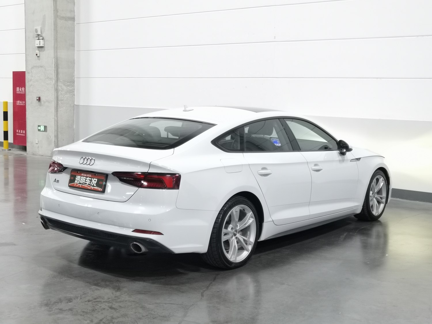 Used Audi A5 (Imported) 2019 2.0 AT