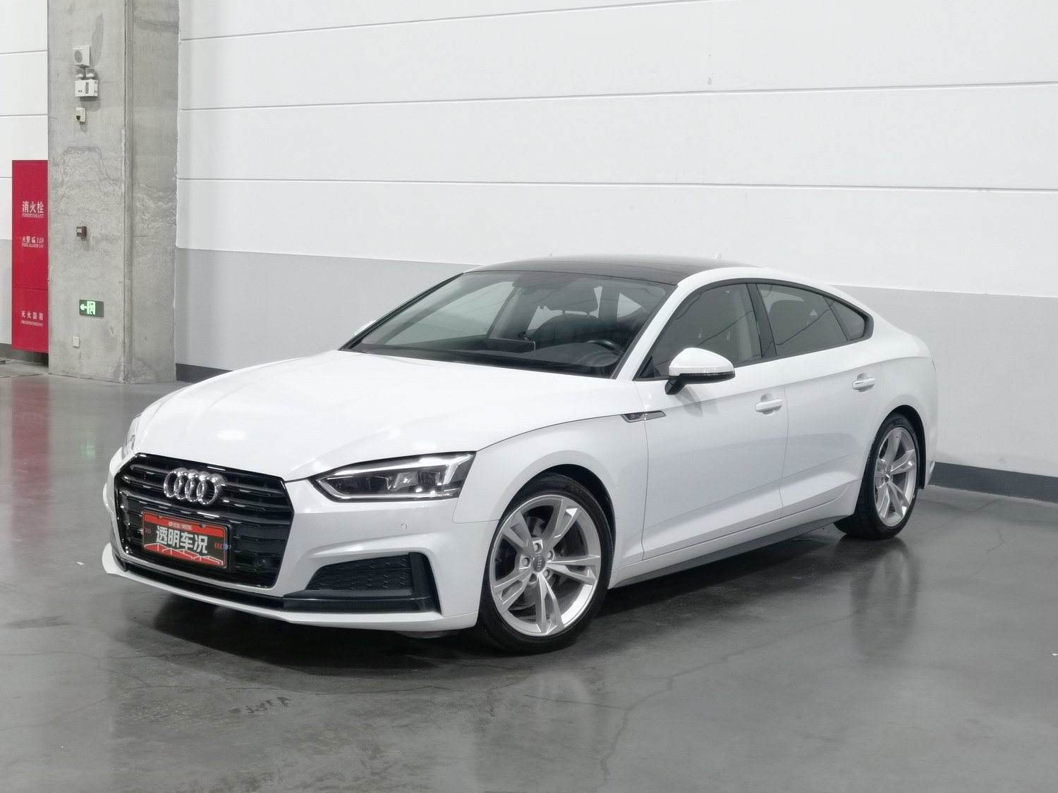 Used Audi A5 (Imported) 2019 2.0 AT