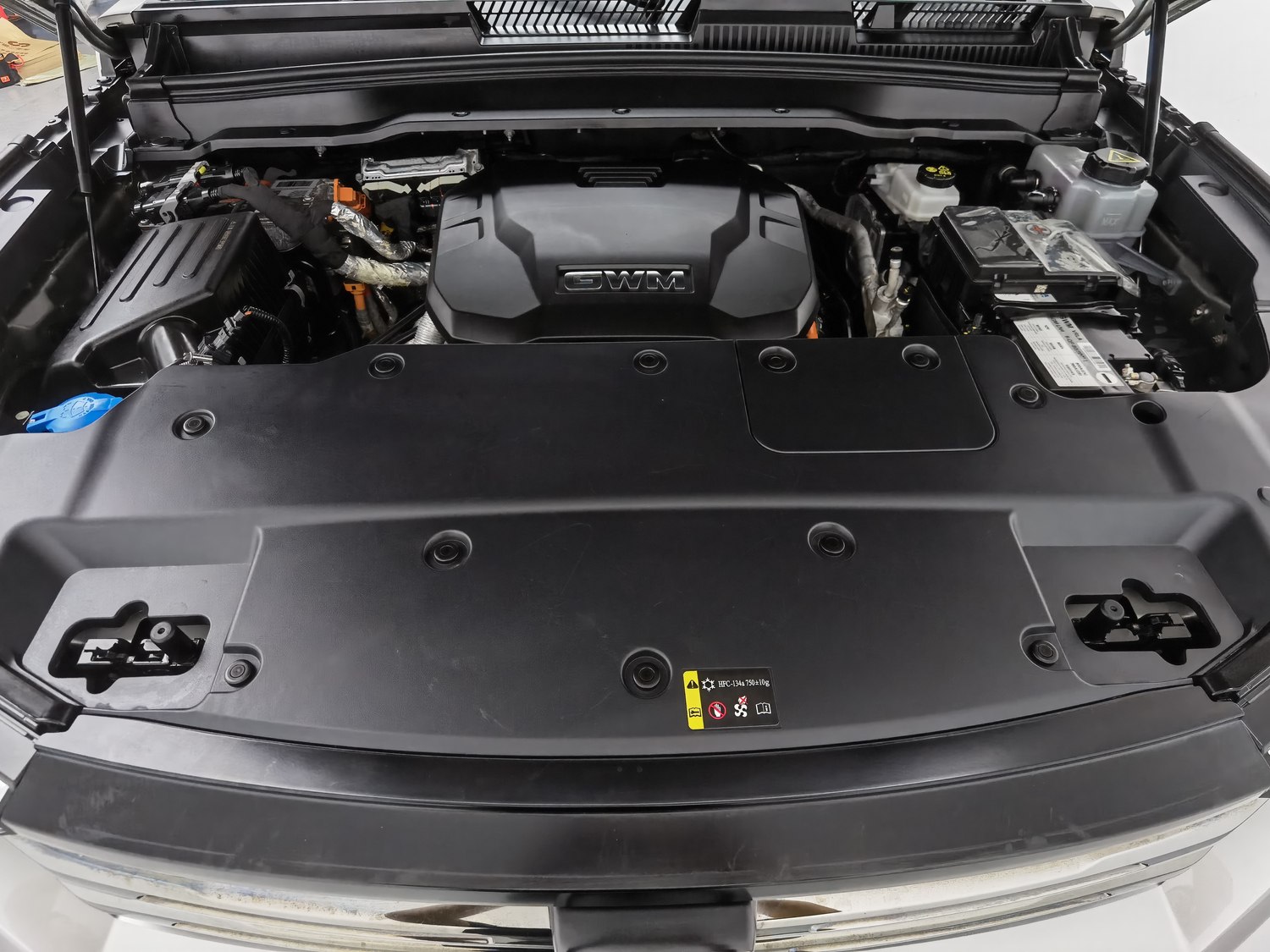 Used Tank 400 EV 2023 2.0 AT